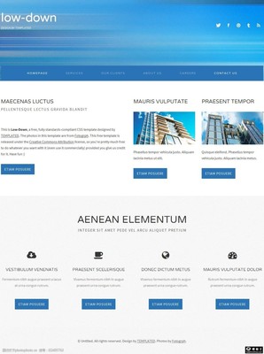 藍色科技網(wǎng)頁設(shè)計的魅力與應(yīng)用