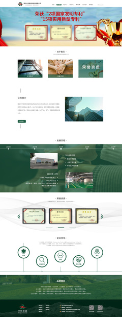 深圳引航動(dòng)力 Carrie領(lǐng)銜的網(wǎng)頁(yè)設(shè)計(jì)新高度