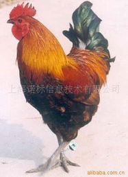 防偽商標產品列表 第103頁